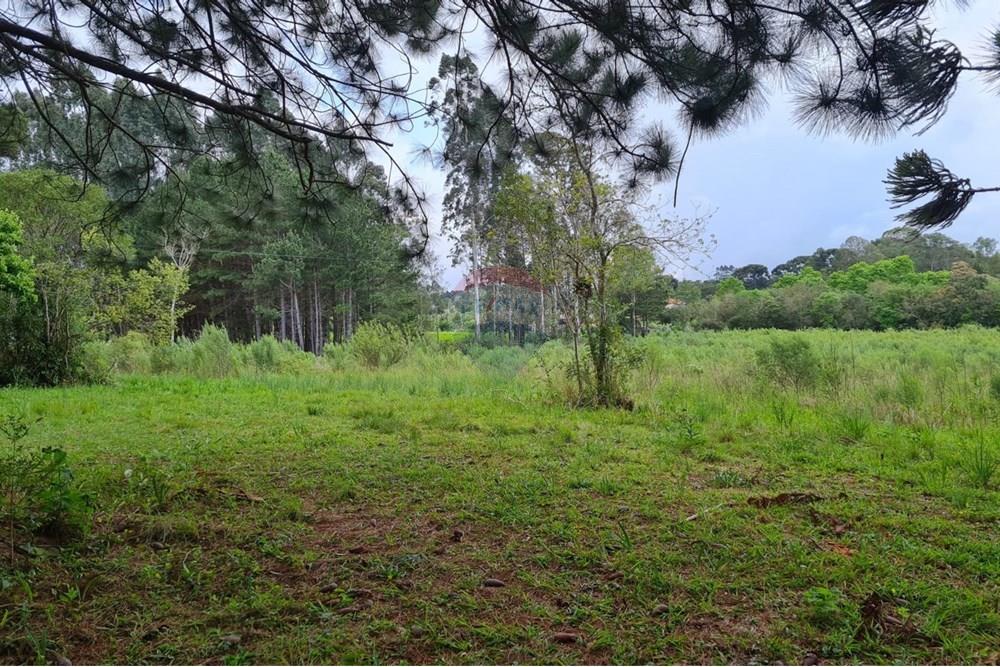 Chácara / Sítio / Fazenda - Venda - São José dos Pinhais , Paraná - 4920d7fc-acff-486b-85b3-68b5037e5eb2.jpeg - 560331128-24