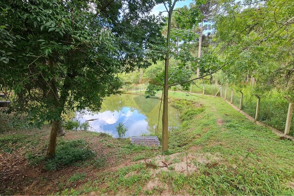 Galpão - Venda - São José dos Pinhais , Paraná - 0dd8e44d-38e0-4495-bd84-39403bba81a4.jpeg - 560331128-20