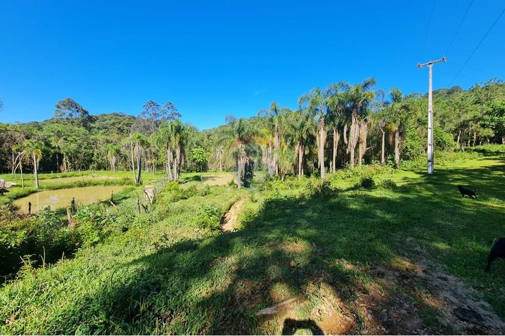 Chácara / Sítio / Fazenda - Venda - Tijucas do Sul , Paraná - 3476a347-ee1a-4874-9b6e-77b276ce7e33.jpeg - 560391051-20