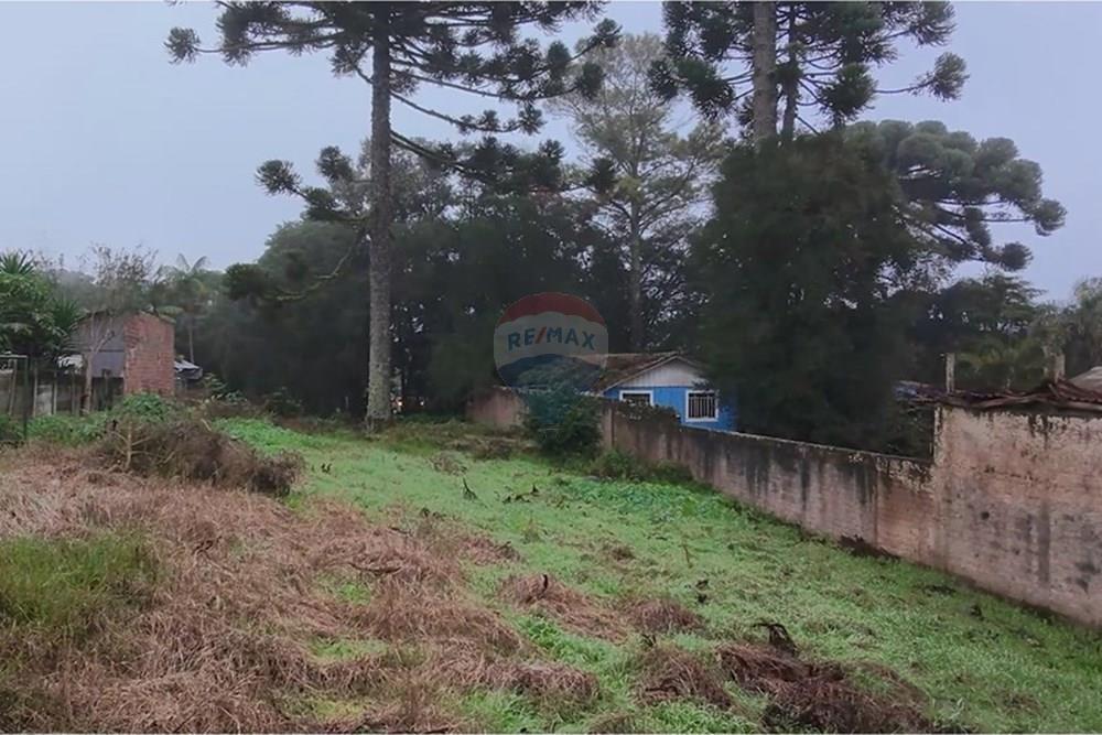 Terreno - Venda - Curitiba , Paraná - IMG-20250615-WA0008.jpg - 560321151-6