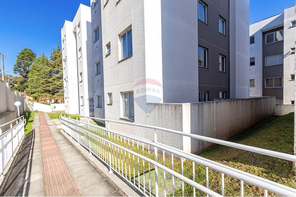 Apartamento - Venda - São José dos Pinhais , Paraná - IMG_2417_1.jpg - 560431004-33