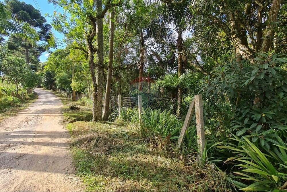 Galpão - Venda - São José dos Pinhais , Paraná - 2e6c3b82-4699-4bff-aa82-4a918c3b6740.jpeg - 560331128-20