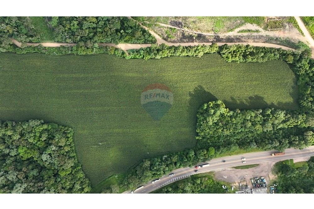 Terreno - Venda - Mandirituba , Paraná - 5.jpg - 560251068-41