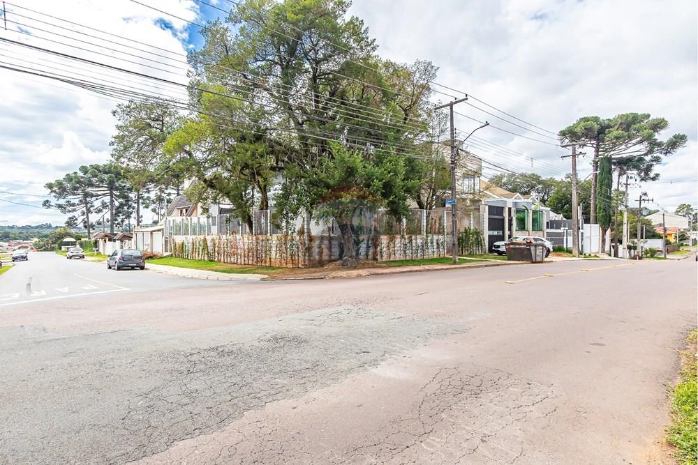 Casa Comercial - Alugar - Curitiba , Paraná - sheep - IMG_3790_1.jpg - 560311047-599