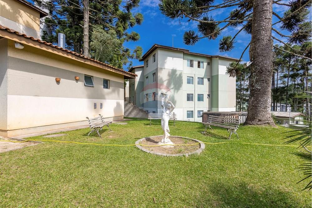 Apartamento - Venda - Curitiba , Paraná - IMG_7246_1.jpg - 560351087-51