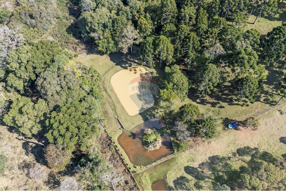 Chácara / Sítio / Fazenda - Venda - Campo Largo , Paraná - F (20).jpg - 560351150-1