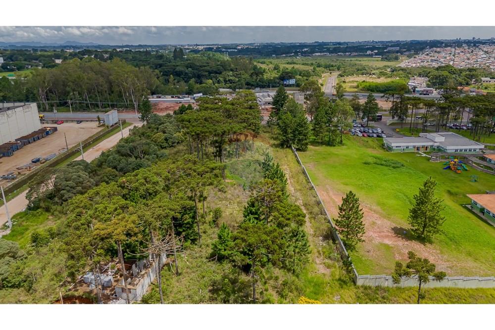 Terreno - Venda - São José dos Pinhais , Paraná - DJI_20250227133121_0573_D.jpg - 560351069-35