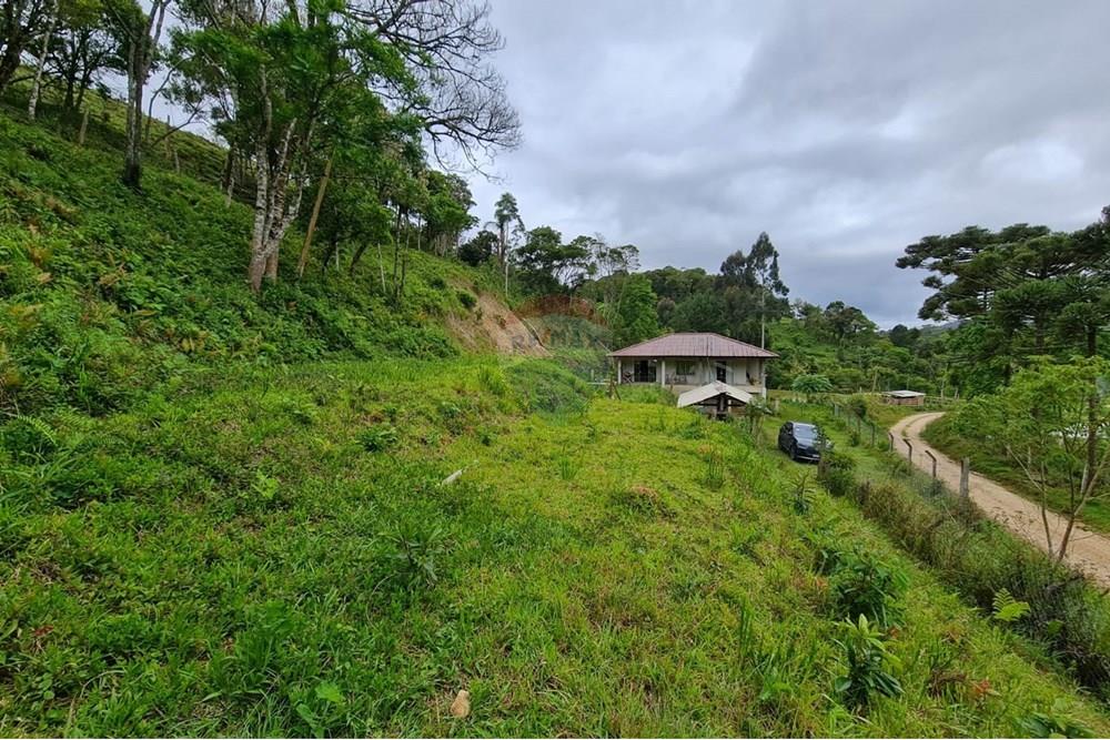 Chácara / Sítio / Fazenda - Venda - Tijucas do Sul , Paraná - e90e3067-dd6b-4fef-8f4f-e51cd72b254e.jpeg - 560391051-16