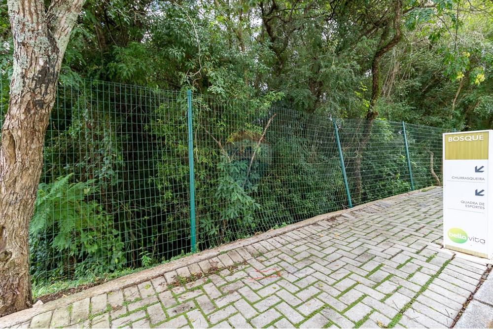 Apartamento - Alugar - Curitiba , Paraná - IMG_8958.jpg - 560311047-547