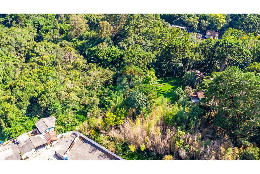 Terreno - Venda - Curitiba , Paraná - 12 - 560411070-38