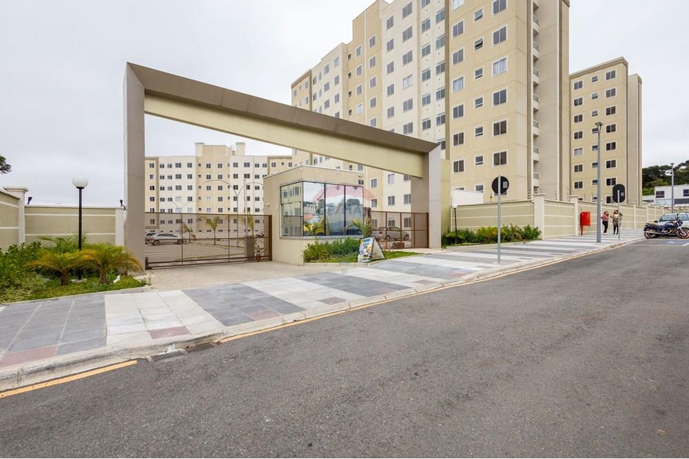 Apartamento - Alugar - Curitiba , Paraná - IMG_0128.jpg - 560251018-318