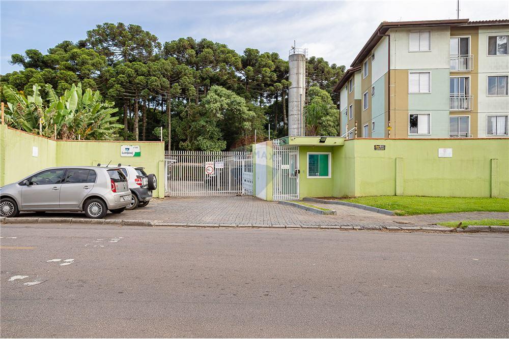 Apartamento - Alugar - Curitiba , Paraná - 30 - 560251029-60