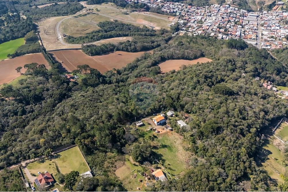 Terreno - Venda - Campo Largo , Paraná - DJI_20250818141539_0041_D_1.jpg - 560461009-53