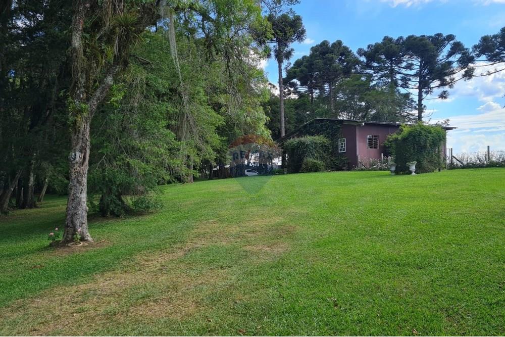 Casa Comercial - Alugar - São José dos Pinhais , Paraná - b19435d9-7d2e-4730-91e0-7aa5b25427c3.jpeg - 560331128-18