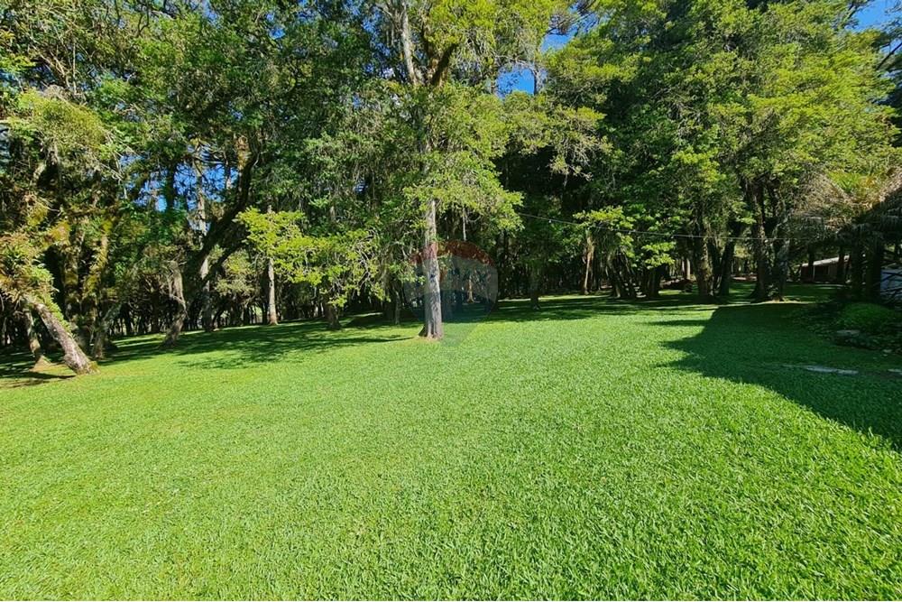 Casa Comercial - Alugar - São José dos Pinhais , Paraná - 279eebc3-4557-4765-b844-533865226de7.jpeg - 560331128-18