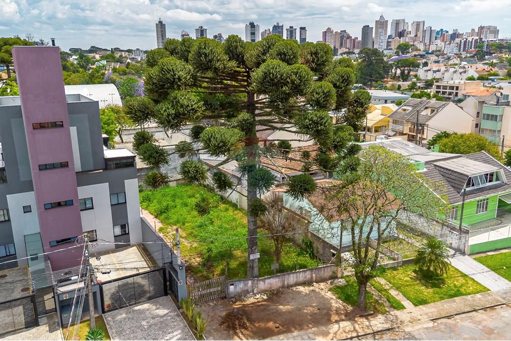 Terreno - Venda - Curitiba , Paraná - DJI_0885_1.jpg - 560341136-51