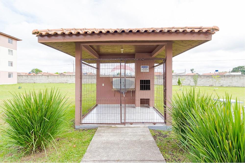 Apartamento - Venda - São José dos Pinhais , Paraná - IMG_2415.jpg - 560411027-30