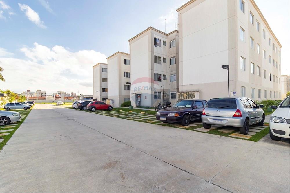 Apartamento - Venda - São José dos Pinhais , Paraná - IMG_8668_1.jpg - 560321131-15