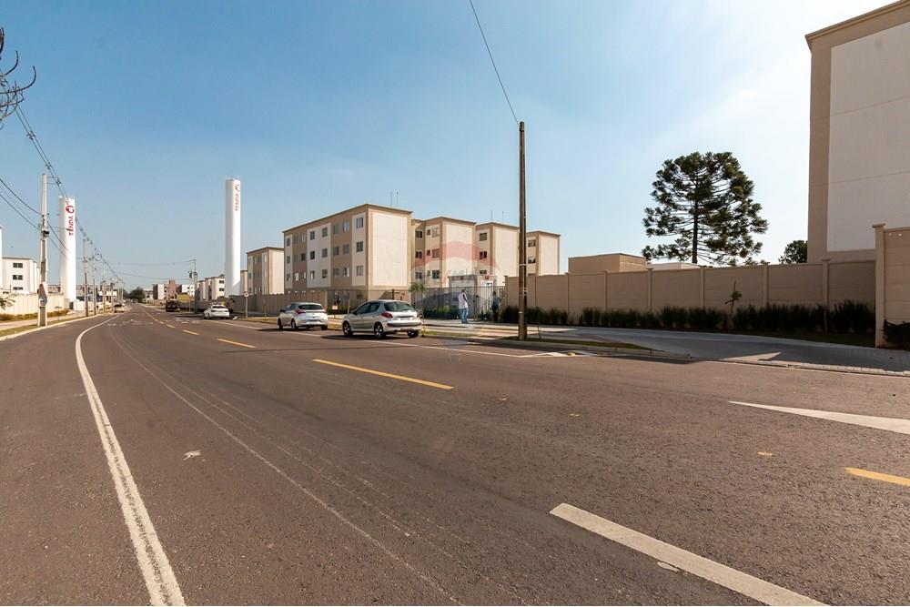 Apartamento - Venda - São José dos Pinhais , Paraná - IMG_4416.jpg - 560321131-15