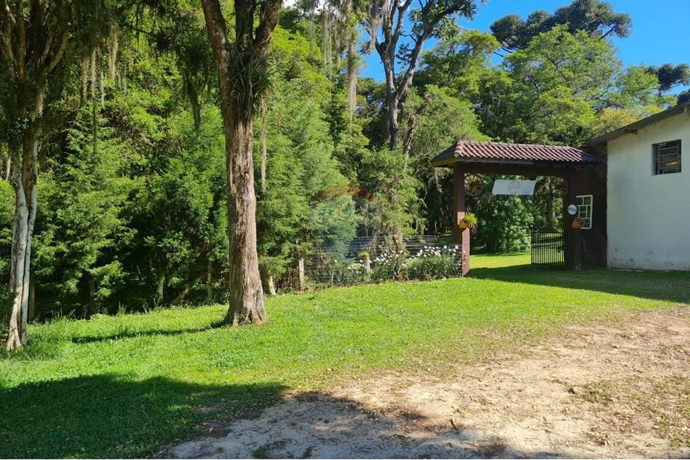 Casa Comercial - Alugar - São José dos Pinhais , Paraná - 2f97ffbf-88a5-4d10-a486-131b88f5adf7.jpeg - 560331128-18