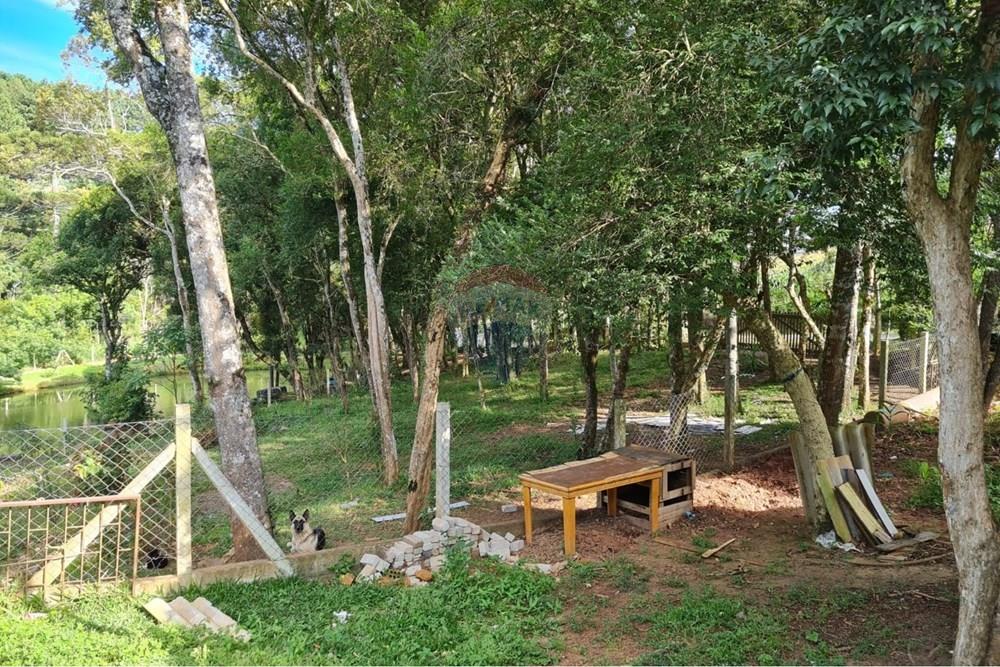 Galpão - Venda - São José dos Pinhais , Paraná - c72318b3-80c5-42e3-9b78-2d2691332e92.jpeg - 560331128-20