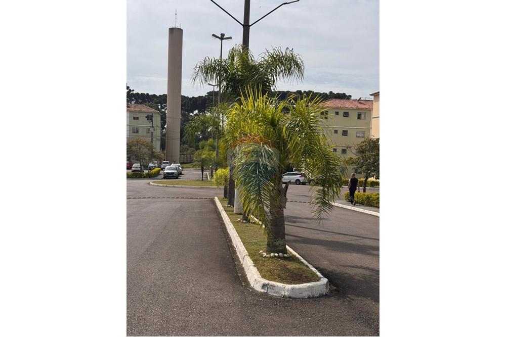 Apartamento - Venda - São José dos Pinhais , Paraná - WhatsApp Image 2025-05-03 at 16.13.46 (2).jpeg - 560251088-6