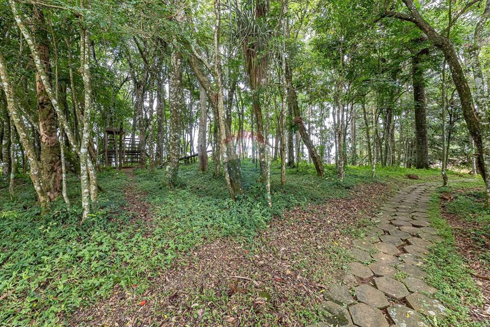 Casa de Condomínio - Venda - Curitiba , Paraná - Foto 043.jpg - 560341143-33