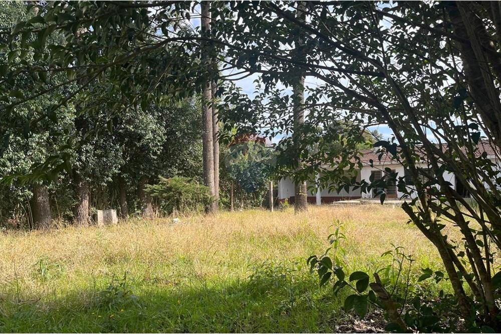 Terreno - Venda - Colombo , Paraná - IMG-20250717-WA0072.jpg - 560411036-8