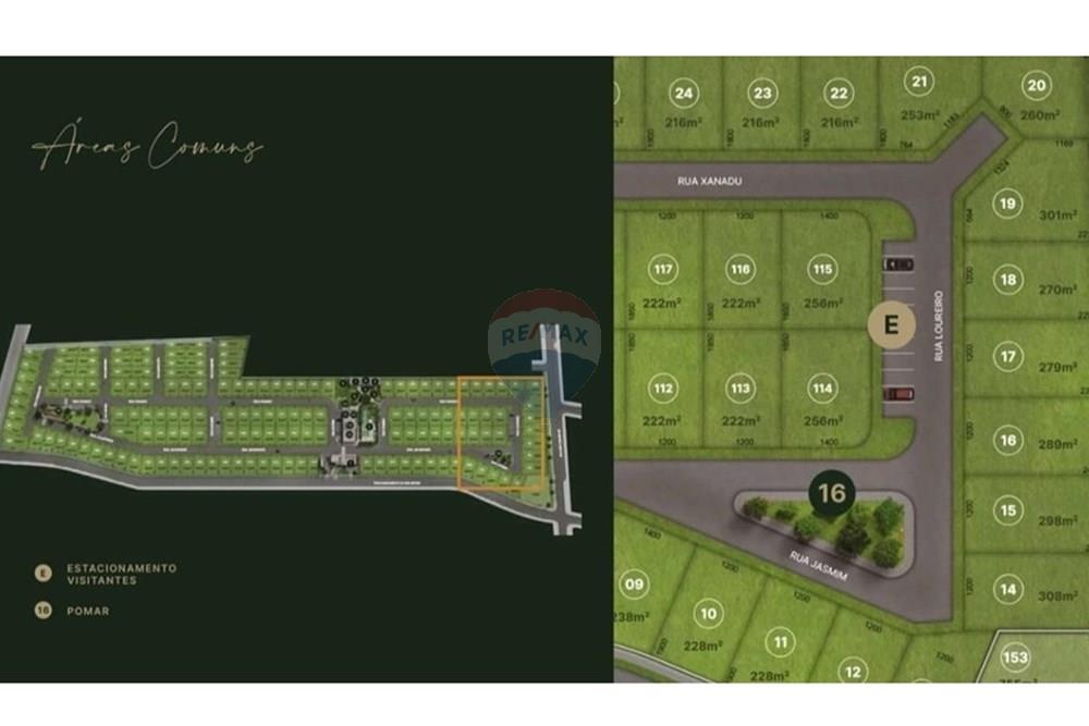 Terreno - Venda - São José dos Pinhais , Paraná - WhatsApp Image 2025-03-05 at 14.54.11 (2).jpeg - 560461002-19