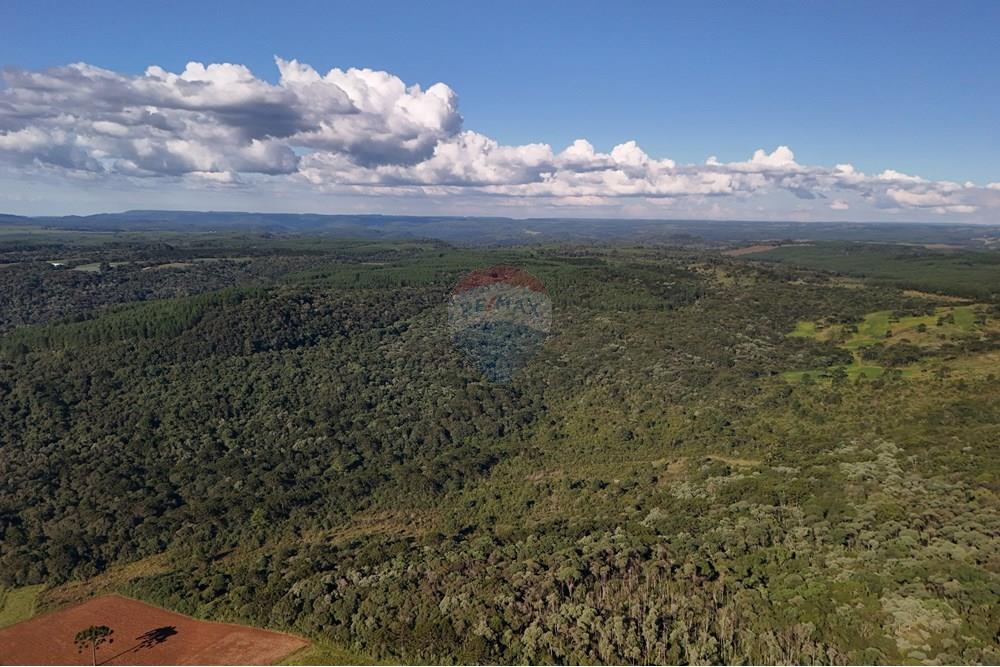 Terreno - Venda - Calmon , Santa Catarina - Vista lateral.JPG - 560351109-12