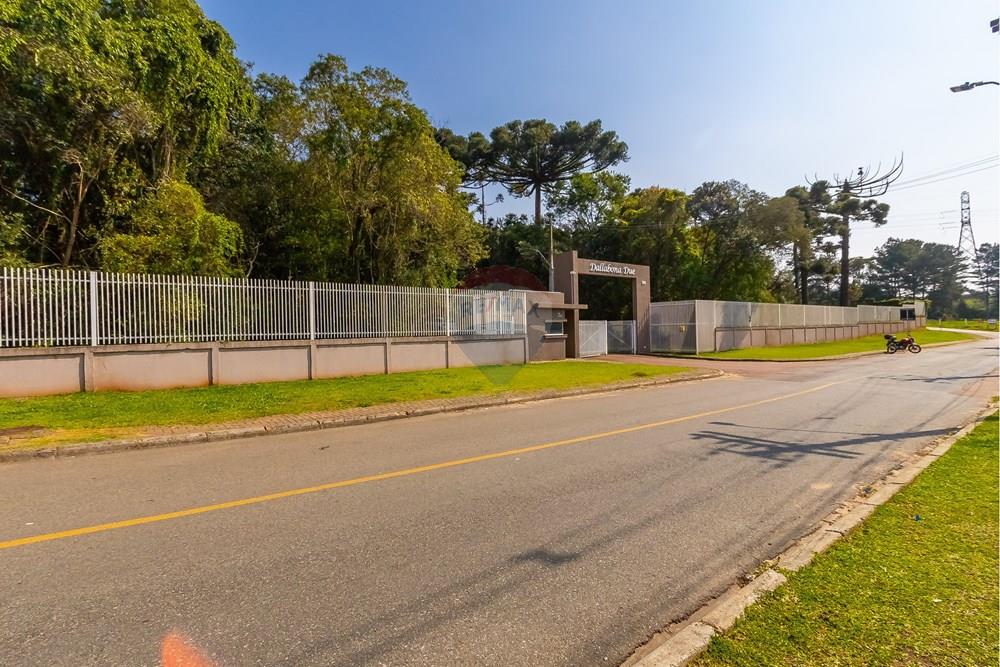 Terreno - Venda - Curitiba , Paraná - IMG_2529.JPG - 560341101-21