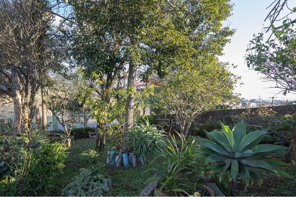 Sobrado - Venda - Curitiba , Paraná - IMG_6452.jpg - 560321116-9