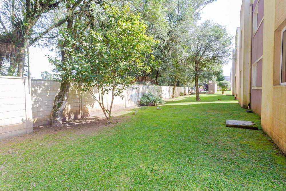 Apartamento - Venda - Pinhais , Paraná - IMG_3473.jpg - 560351087-49