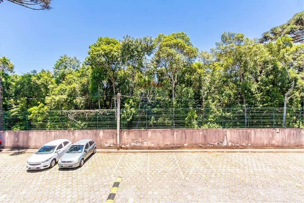 Apartamento - Venda - Curitiba , Paraná - IMG_8299.jpg - 560351106-43