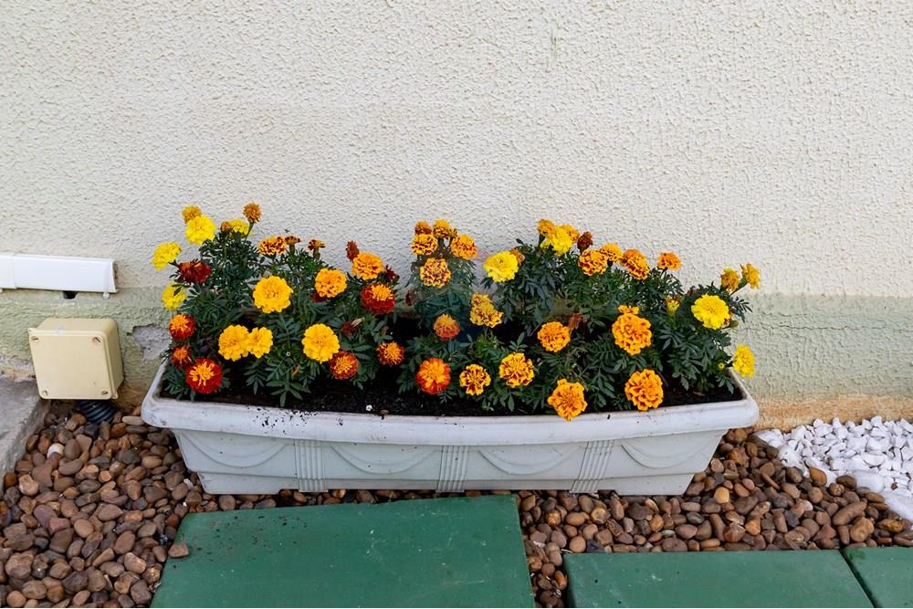 Apartamento - Venda - Almirante Tamandaré , Paraná - IMG_8149.jpg - 560341064-104