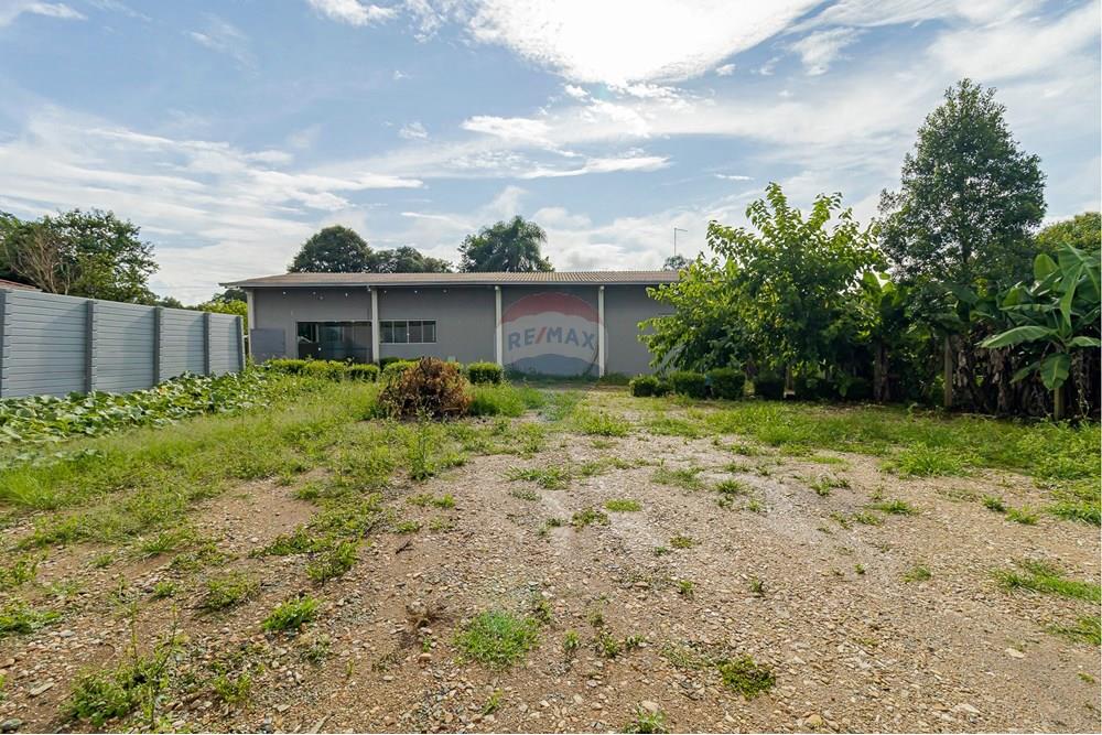 Chácara / Sítio / Fazenda - Alugar - Fazenda Rio Grande , Paraná - IMG_9369.jpg - 560391075-16