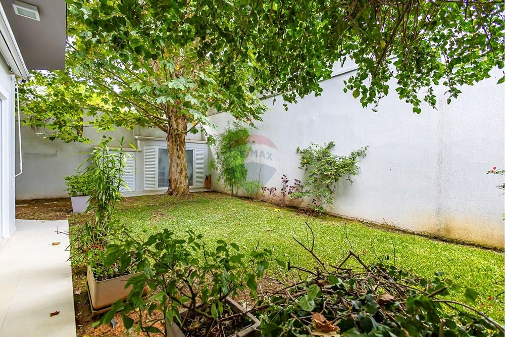 Casa - Venda - Curitiba , Paraná - Sheep - IMG_3243_1.jpg - 560471017-1