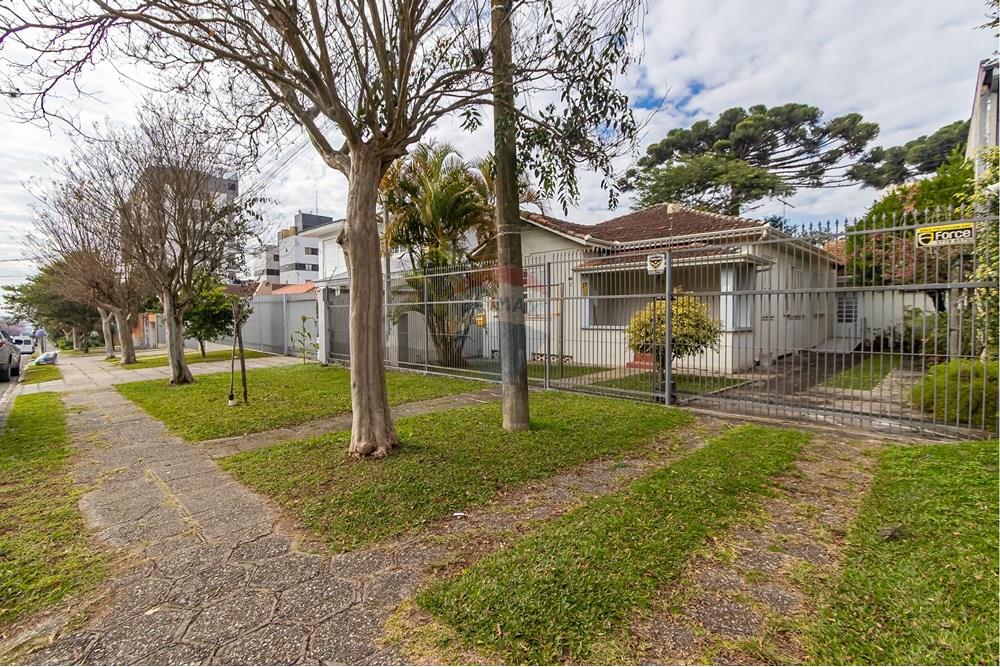 Terreno - Venda - Curitiba , Paraná - IMG_2212.jpg - 560311047-485