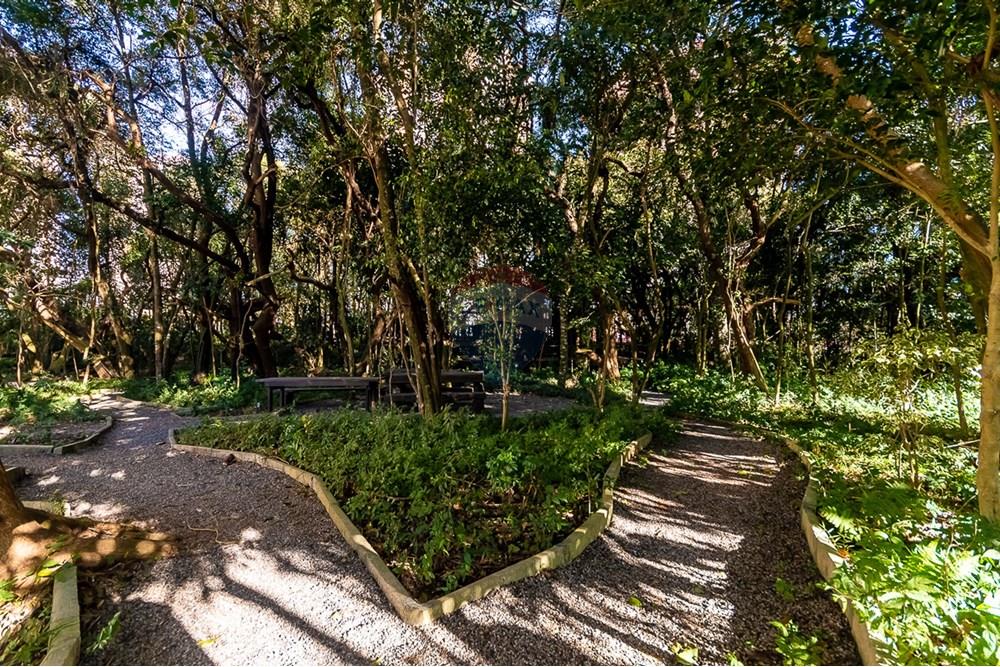 Apartamento - Venda - Curitiba , Paraná - ProfPedroVPdeSouza-84.jpg - 560311047-425