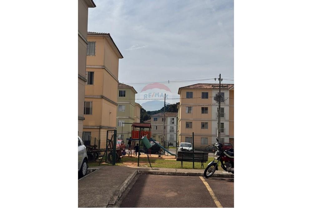 Apartamento - Venda - São José dos Pinhais , Paraná - WhatsApp Image 2025-05-03 at 16.13.50.jpeg - 560251088-6