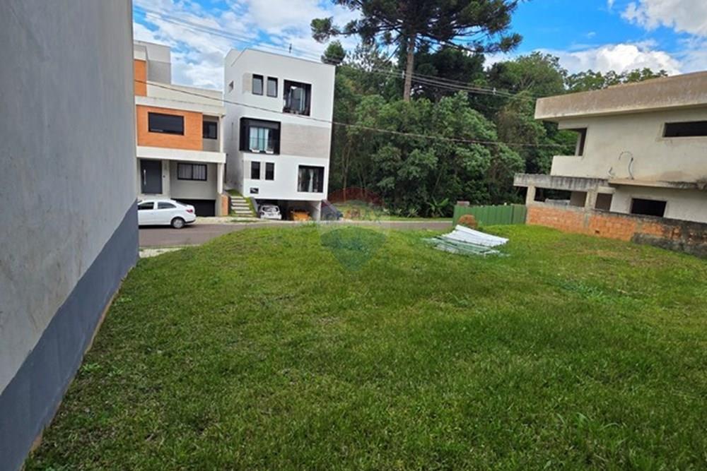 Terreno - Venda - Curitiba , Paraná - 20260212_165855.jpg - 560501001-16