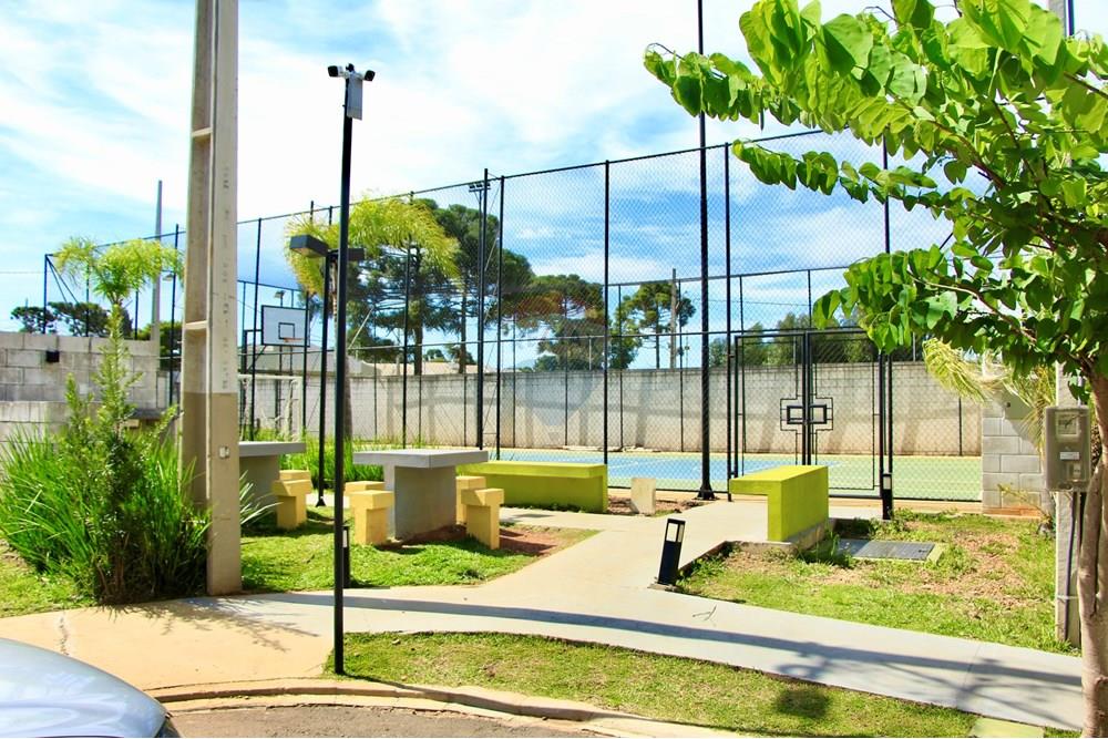 Apartamento - Venda - Ponta Grossa , Paraná - 39.jpeg - 560351013-64