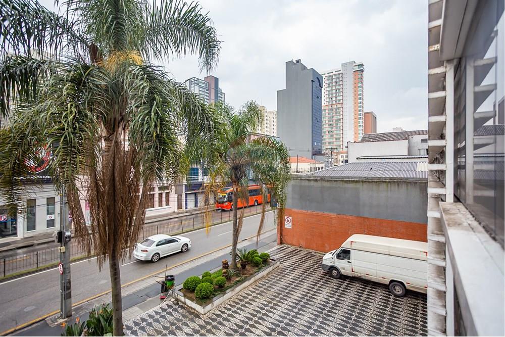 Turunduslik - Äripind - Curitiba , Paraná - BR - _MG_2287.jpg - 560351125-43