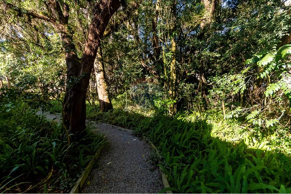 Apartamento - Venda - Curitiba , Paraná - ProfPedroVPdeSouza-83.jpg - 560311047-425