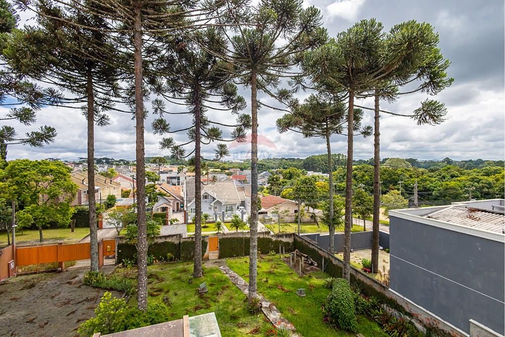 Sobrado - Alugar - Curitiba , Paraná - sheep - IMG_4400.jpg - 560351125-56