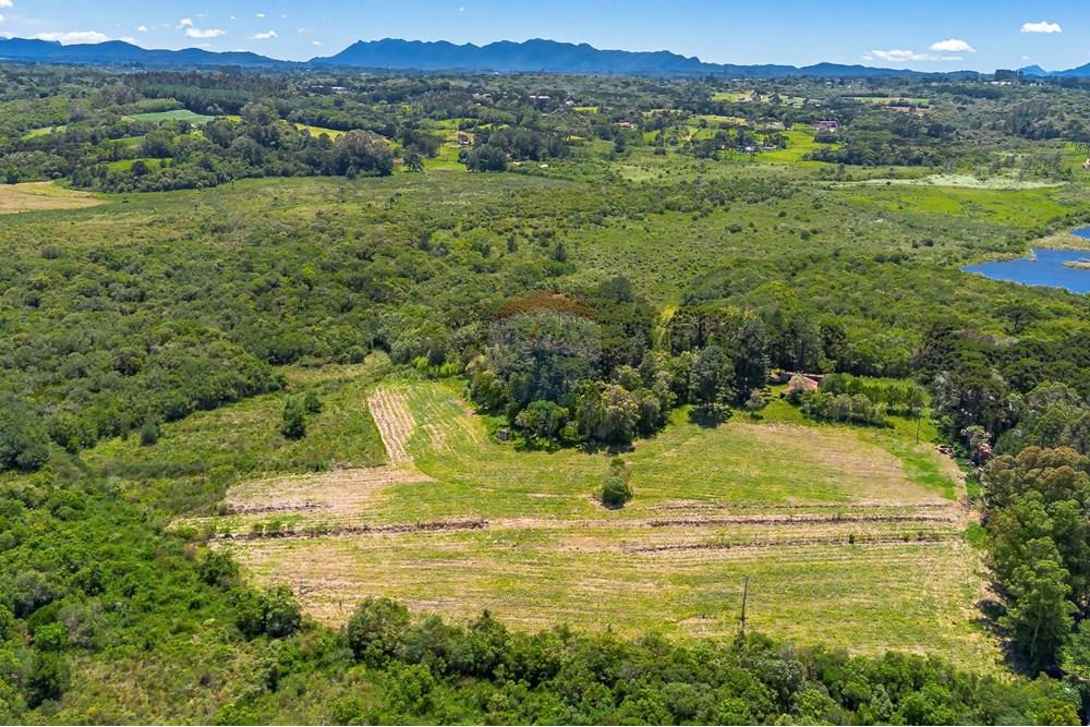 Chácara / Sítio / Fazenda - Venda - São José dos Pinhais , Paraná - DJI_0441_1.jpg - 560331128-24
