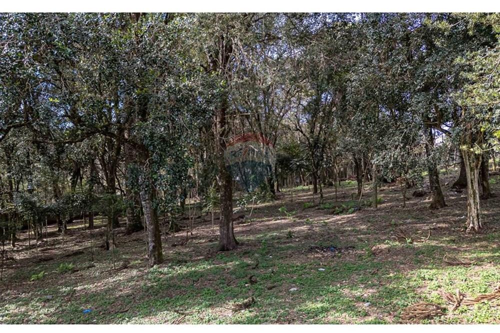 Terreno - Venda - Colombo , Paraná - DJI_20240807102536_0156_D.jpg - 560461010-46