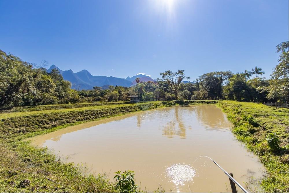 Chácara / Sítio / Fazenda - Venda - Antonina , Paraná - IMG_4878.jpg - 560411008-83