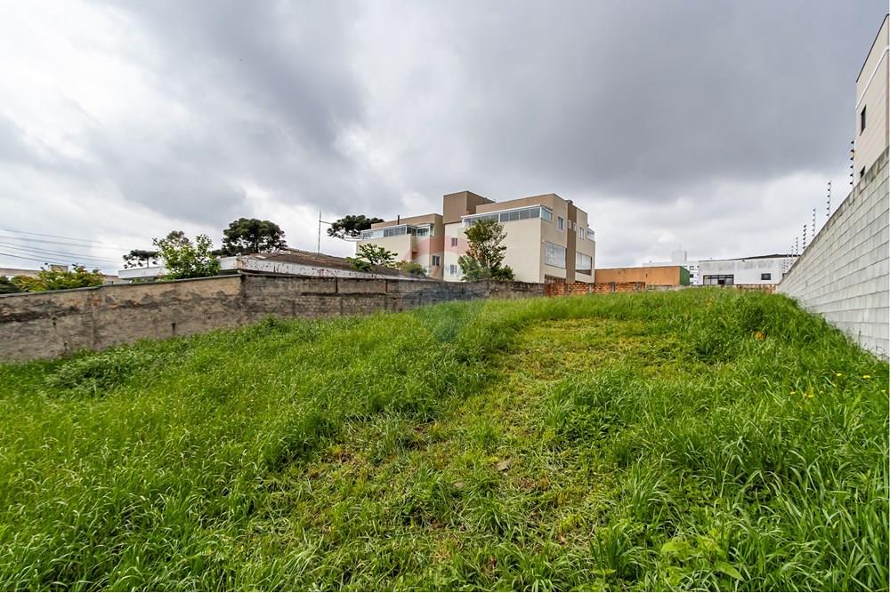 Terreno - Venda - Pinhais , Paraná - IMG_4905.jpg - 560311065-16