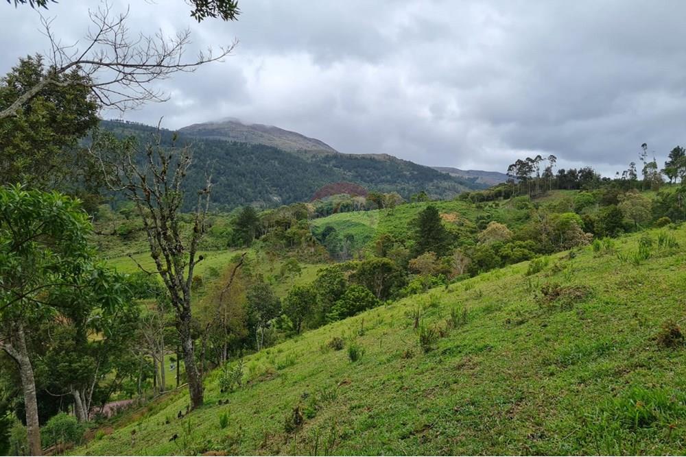 Chácara / Sítio / Fazenda - Venda - Tijucas do Sul , Paraná - 1fb58254-08f4-4024-8093-4f66f312ee55.jpeg - 560391051-16